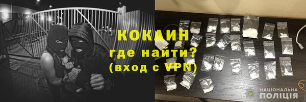 бошки Тавда