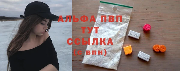 PSILOCYBIN Бородино