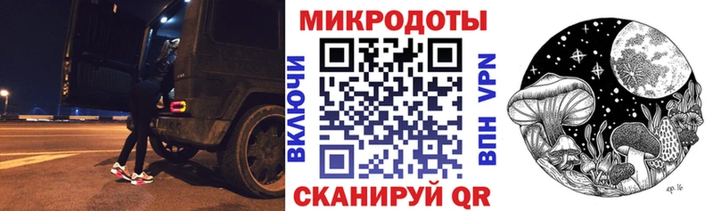 Галлюциногенные грибы Psilocybe  Макаров 